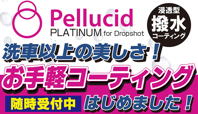 ペルシードタイトル