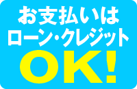 ローン・クレジット支払いOK